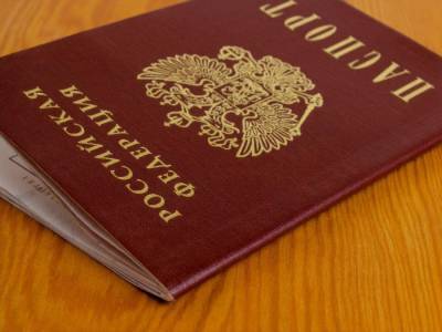 Правозащитники рассказали, сколько паспортов РФ выдали жителям ОРДЛО