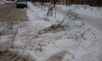 ВИДЕО: Коммунальщики-вандалы завалили грязным снегом клумбы и кусты