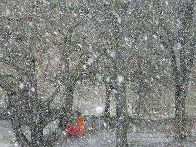 МЧС предупредило жителей Дона о надвигающейся метели и сильном снегопаде