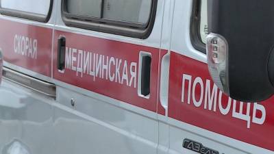 Два человека пострадали в ДТП с лосем в Тульской области - usedcars.ru - Тульская обл. - район Суворовский
