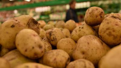 Эксперты назвали полезные свойства картофельного сока для кожи