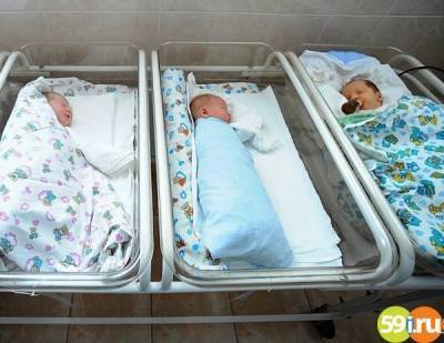 За новогодние праздники в Перми родились 414 малышей