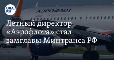 Летный директор «Аэрофлота» стал замглавы Минтранса РФ