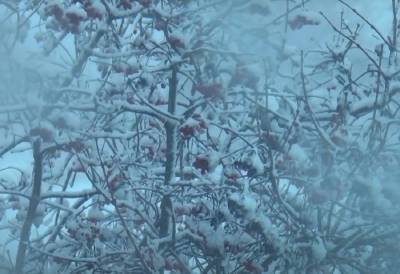 Украинцы почувствуют, что такое настоящие морозы: синоптик Диденко рассказала, какой будет погода 15 января