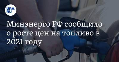 Минэнерго РФ сообщило о росте цен на топливо в 2021 году