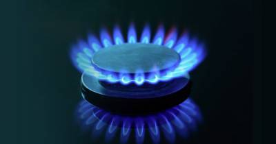 "Карантинные" тарифы: стали известны новые максимальные цены на газ и его распределение