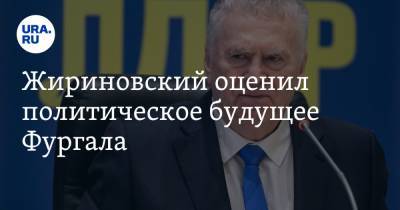 Жириновский оценил политическое будущее Фургала