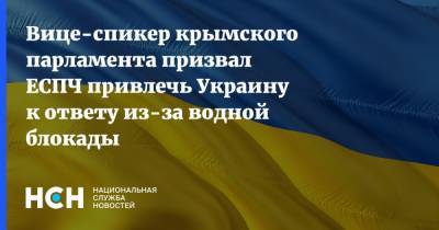 Вице-спикер крымского парламента призвал ЕСПЧ привлечь Украину к ответу из-за водной блокады