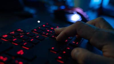 В СК рассказали о росте уровня киберпреступности в России в 20 раз за 7 лет