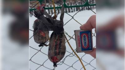 Под Новосибирском пенсионерка купила уголь со взрывчаткой