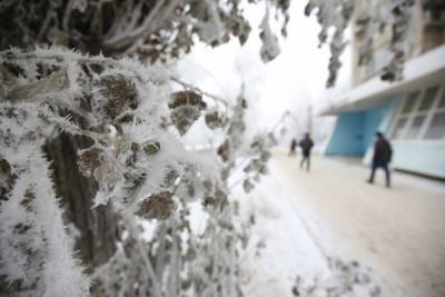 МЧС предупреждает волгоградцев об очень сильном снеге и ветре