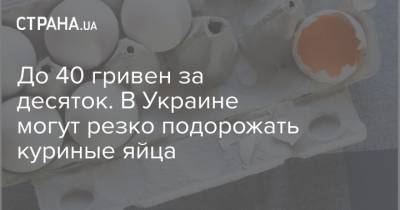 До 40 гривен за десяток. В Украине могут резко подорожать куриные яйца