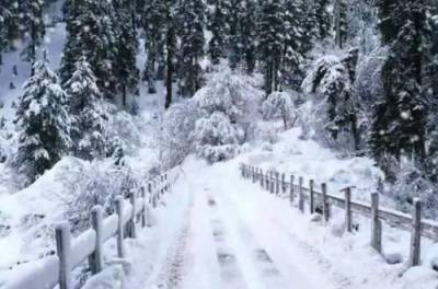 15 января почти по всей Украине будут снегопады и морозы