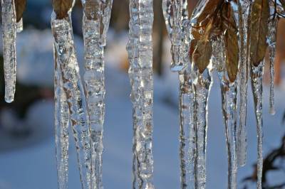 Потепление до +7°С прогнозируют синоптики в Алтайском крае и Республике Алтай