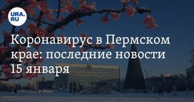 Коронавирус в Пермском крае: последние новости 15 января. Студенты возвращаются в вузы, названы города с самой высокой заболеваемостью