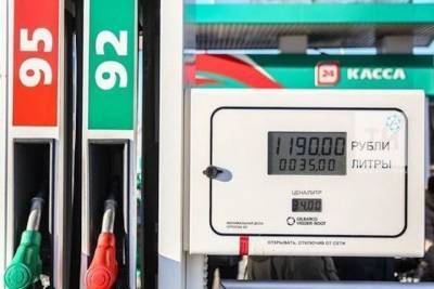 В Татарстане могут вырасти цены на бензин