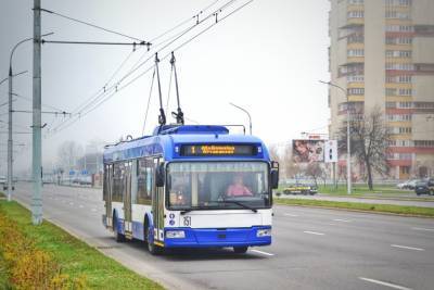 В Воронеже работает только один троллейбусный маршрут