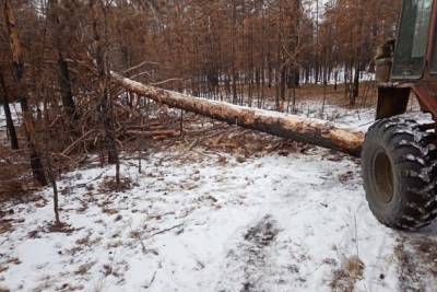 Лесники задержали в Забайкалье мужчину, срубившего лес на 8,4 млн р.