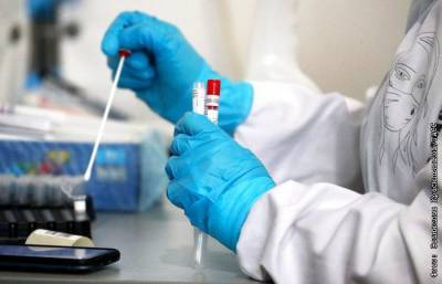 В России за сутки выявили еще 24,7 тыс. случаев коронавируса