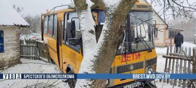 Под Брестом школьный автобус снес забор и влетел в дерево