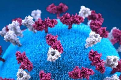 Ученые выяснили, как распространился по миру "британский" коронавирус