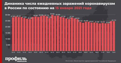В России за сутки выявили 24715 новых случаев COVID-19