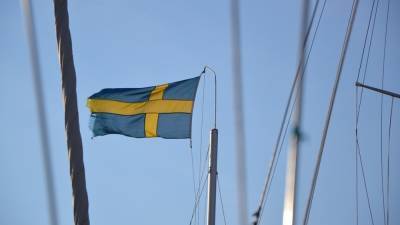Шведы неоднозначно восприняли ролики о "войне с Россией" в Арктике