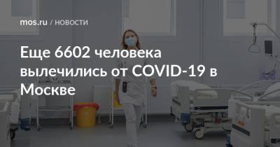 Еще 6602 человека вылечились от COVID-19 в Москве