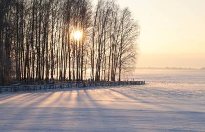 До -26°С прогнозируют в Беларуси 16 января