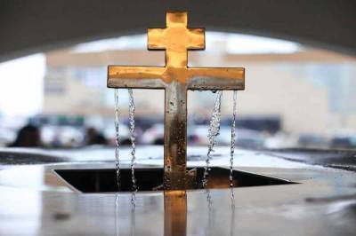 Грипп можно лечить святой водой, заявил курганский митрополит