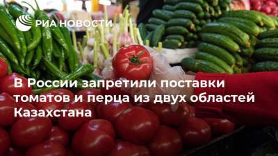 В России запретили поставки томатов и перца из двух областей Казахстана