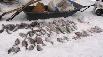 Тюменских браконьеров будут судить за вылов в запретной зоне Иртыша рыбы на ₽240 тыс.