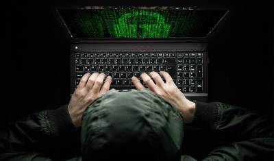 За семь лет уровень киберпреступности в России вырос в 20 раз и продолжает расти