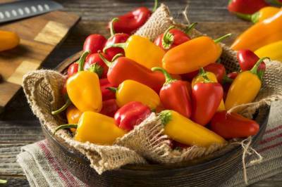Россия запретила поставки томатов и перца из двух областей Казахстана