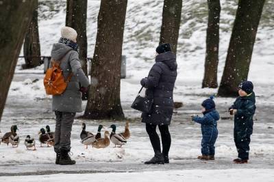 Морозы снова обрушатся на Псковскую область в эти выходные