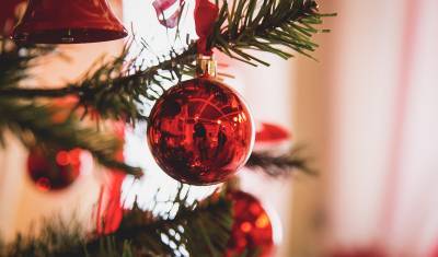 Жители Подмосковья могут сдать новогодние елки на переработку
