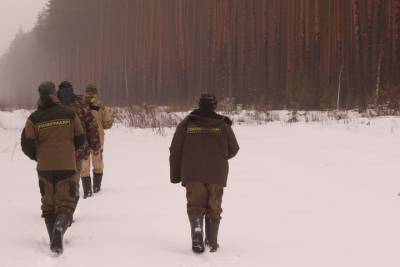 Численность медведей и лосей выросла в Нижегородской области