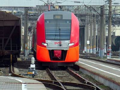 В Нижнем Новгороде четырехлетний ребенок один отправился на поезде в Москву