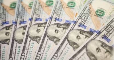 Украинский бизнес ожидает подорожания доллара почти до 30 гривен, – опрос