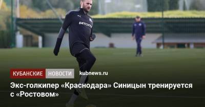Экс-голкипер «Краснодара» Синицын тренируется с «Ростовом»