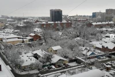 Краснодар замело снегом: жители добираются домой на собачьих упряжках