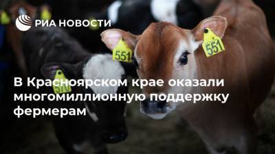 В Красноярском крае оказали многомиллионную поддержку фермерам