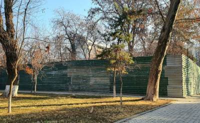 Застройщик отхватил зеленую зону возле ТРЦ "Пойтахт". Ташкентцы боятся, что деревья пойдут в расход