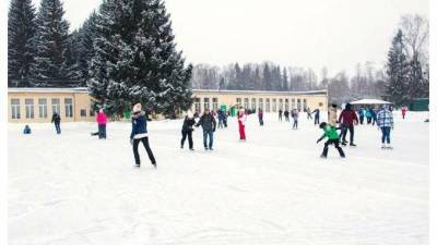 В субботу в Павловском парке начнет работу открытый каток