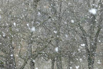 Ночью, 16 января, во Владимирской области начнется сильный снегопад