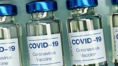 Гинцбург рассказал о создании препарата от коронавируса на основе антител