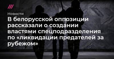 В белорусской оппозиции рассказали о создании властями спецподразделения по «ликвидации предателей за рубежом»