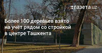Более 100 деревьев взято на учёт рядом со стройкой в центре Ташкента