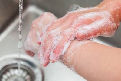 Семейный врач: Мытье рук уменьшает заболеваемость гриппом в 5 раз