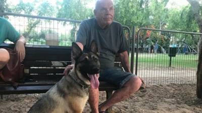 Видео: нашлась собака, украденная у отца погибшего в бою солдата